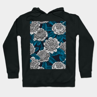 White waratah flowers Hoodie